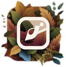 Sssinstagram APK icon